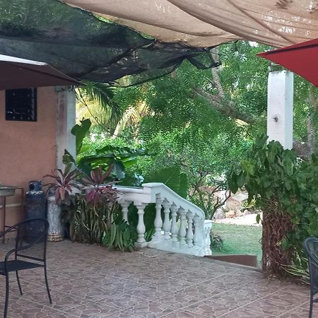 Villa Lirios Valladolid  Buitenkant foto